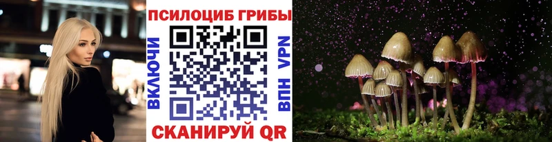 Псилоцибиновые грибы ЛСД  кракен ТОР  Райчихинск 
